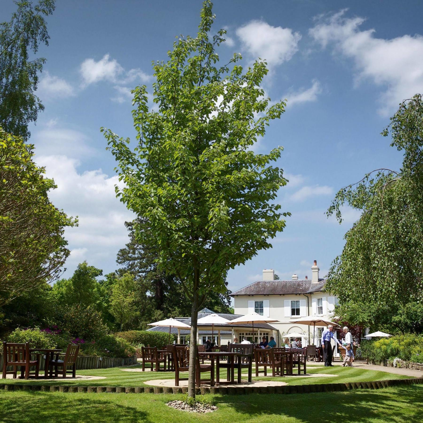 The Vineyard Hotel & Spa Newbury  Eksteriør bilde